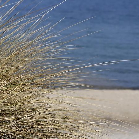 Grosse Kirr Villa Zingst Eksteriør bilde