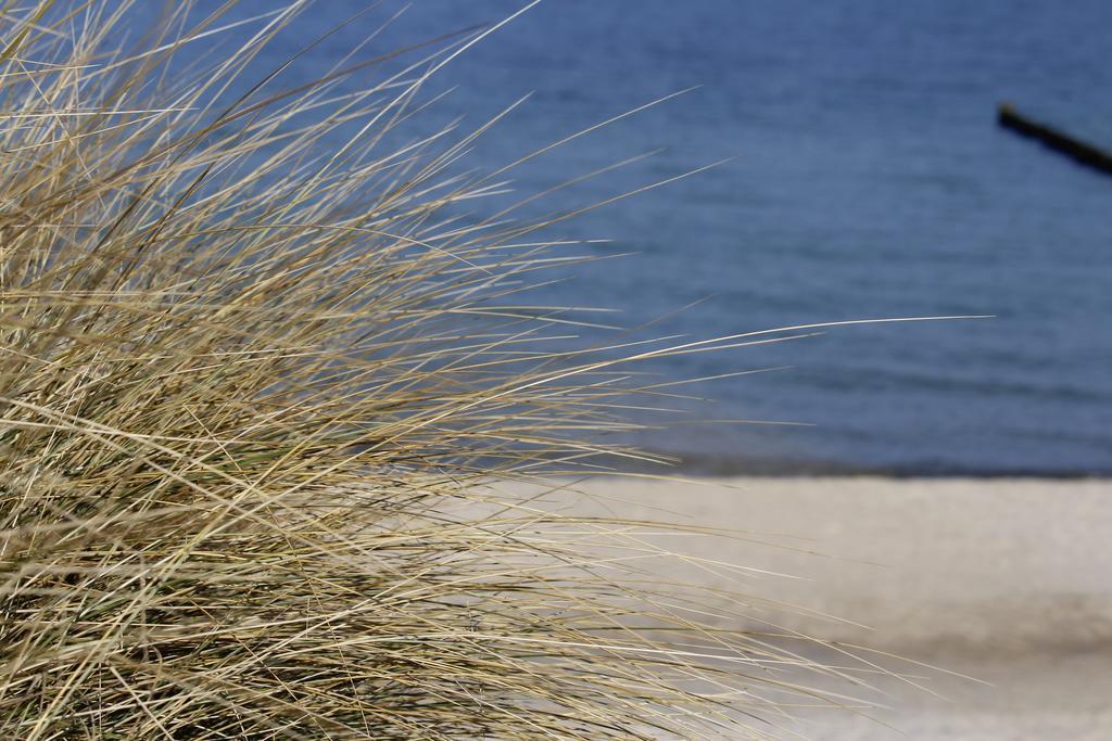 Grosse Kirr Villa Zingst Eksteriør bilde